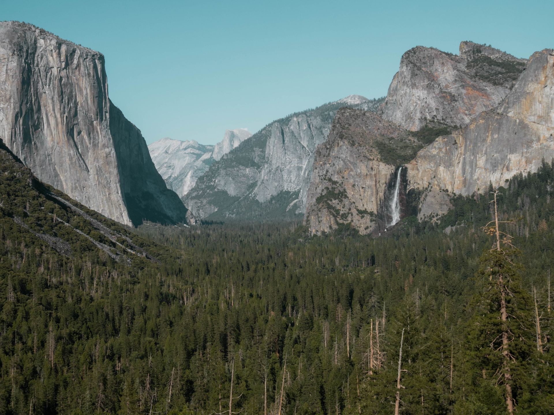 Yosemite National Park Guide for First Timers