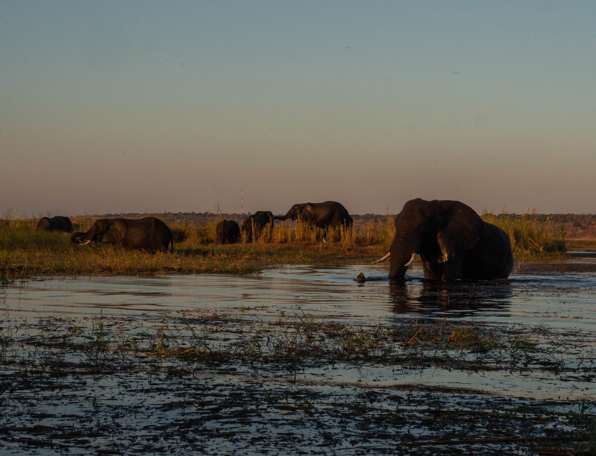 10 Best Places to Visit in Botswana as an Adventure Seeker